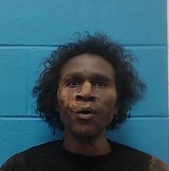 Mugshot of COLEMAN, RAYNARD