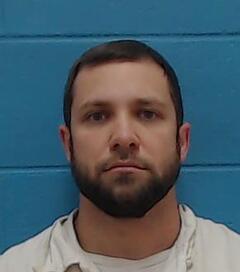 Mugshot of WILLIAMS, JAMES N