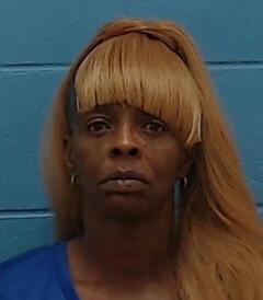 Mugshot of HOLMES, CARLENY