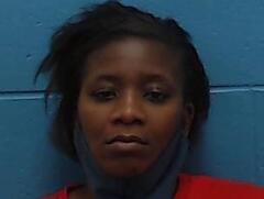Mugshot of EZELL, DENISE T