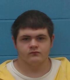 Mugshot of STRICKLAND, DUSTIN