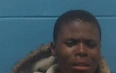 Mugshot of HOUSTON, TANESHA
