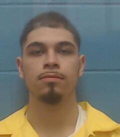 Mugshot of MARTINEZ, ARMANDO  