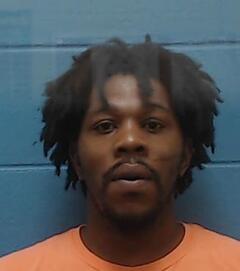 Mugshot of WARREN, NICHOLAS O