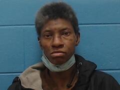 Mugshot of DARLING, TINA