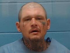 Mugshot of ELLENDER, BARRY JAMES
