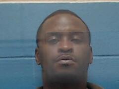 Mugshot of DAVIS, MARTIN DANTA