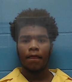 Mugshot of ROBERSON, FREDRIC J