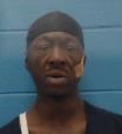 Mugshot of TERRELL, MARIO L